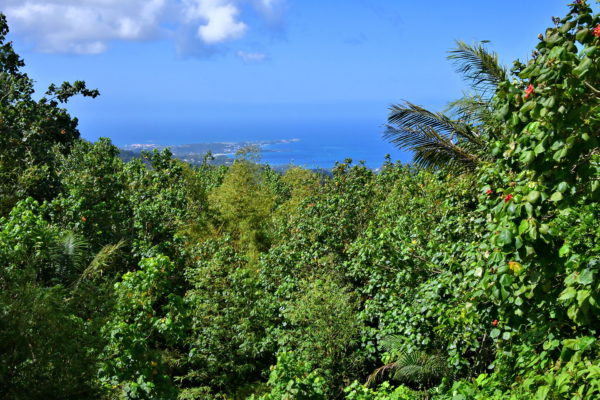 Overlook at Saints Andrew and George Parishes Border in Grenada - Encircle Photos