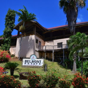 Belmont Estate in Saint Patrick Parish, Grenada - Encircle Photos