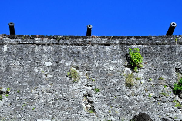 Curtain Wall of Fort George in St. George’s, Grenada - Encircle Photos