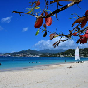 Caribbean Paradise at Grand Anse Beach in St. George’s, Grenada - Encircle Photos