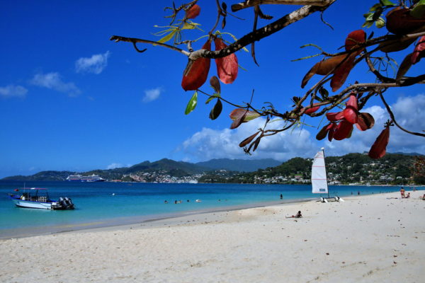 Caribbean Paradise at Grand Anse Beach in St. George’s, Grenada - Encircle Photos