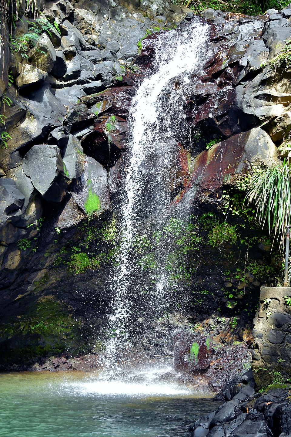 Annandale Falls in Willis, Grenada Encircle Photos