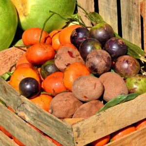 Mixed Vegetables at El Mercado Farmers’ Market in Antigua, Guatemala - Encircle Photos