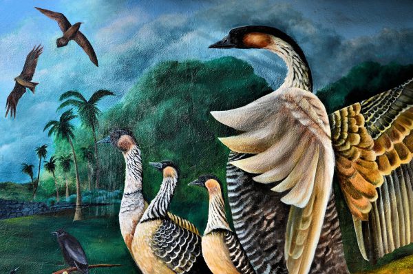 Birds of Paradise Mural by Obregon in Kailua-Kona, Island of Hawaii, Hawaii - Encircle Photos