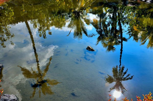Reflection Pond at Pu’uhonua Park near Hōnaunau, Island of Hawaii, Hawaii - Encircle Photos