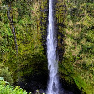 ‘Akaka Falls State Park near Honomu, Island of Hawaii, Hawaii - Encircle Photos