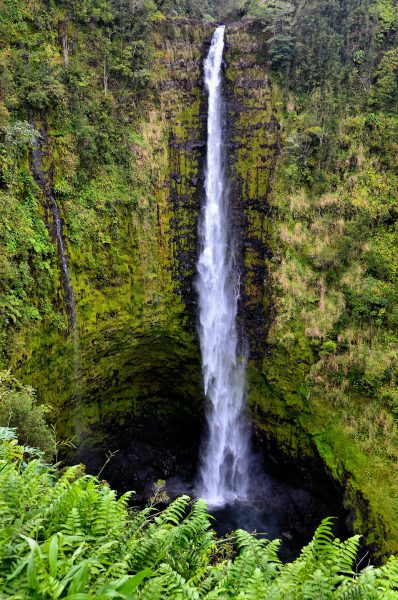‘Akaka Falls State Park near Honomu, Island of Hawaii, Hawaii - Encircle Photos
