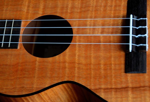 Close-up of Guitar in Kailua-Kona, Island of Hawaii, Hawaii - Encircle Photos