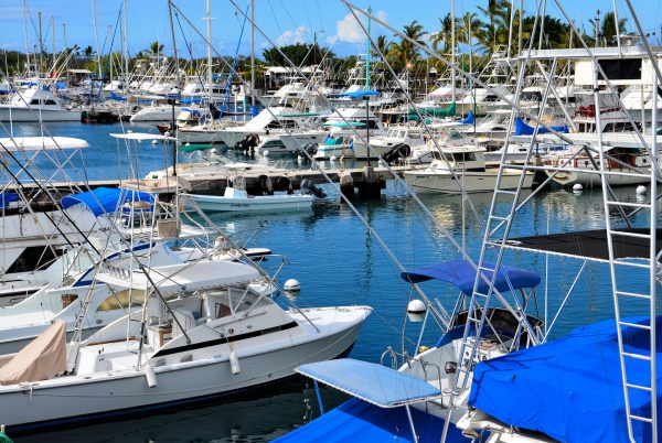 Honokohau Harbor in Kailua-Kona, Island of Hawaii, Hawaii - Encircle Photos