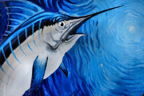 Sailfish Mural in Kailua-Kona, Island of Hawaii, Hawaii - Encircle Photos