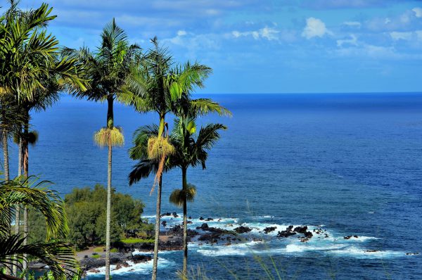 Laupāhoehoe Point on Hāmākua Coast, Island of Hawaii, Hawaii - Encircle Photos