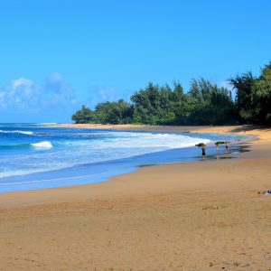 Ha’ena Beach Park near Princeville on Kaua’i, Hawaii - Encircle Photos