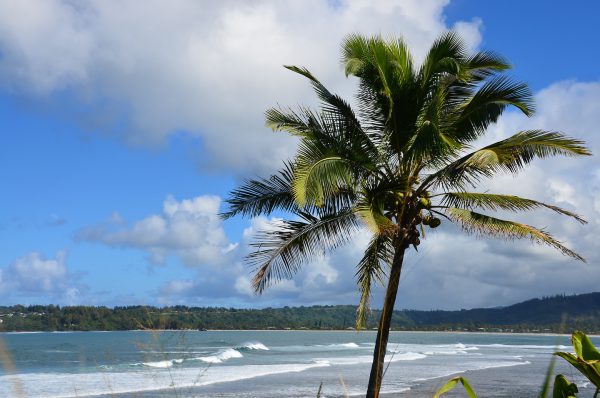 Hanalei Beach along Kūhiō Highway near Princeville on Kaua’i, Hawaii - Encircle Photos