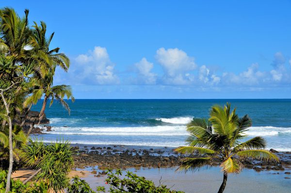 Rocky Shore on Nāpali Coast near Princeville in Kaua’i, Hawaii - Encircle Photos