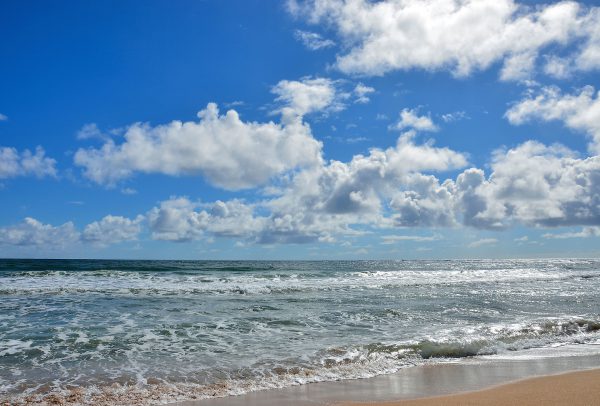 Gentle Waves along Royal Coconut Coast on Kaua’i, Hawaii - Encircle Photos