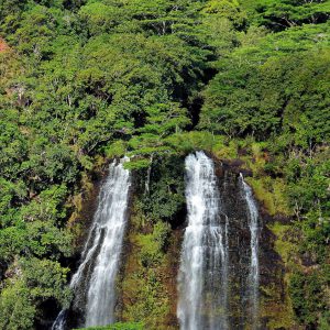‘Ōpaeka’a Falls and Lush Vegetation near Wailuā on Kaua’i, Hawaii - Encircle Photos