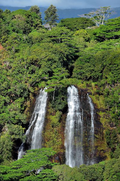 ‘Ōpaeka’a Falls and Lush Vegetation near Wailuā on Kaua’i, Hawaii - Encircle Photos