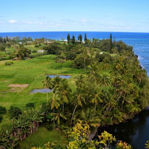 Ke’anae Peninsula Elevated View from Hāna Highway, Maui, Hawaii - Encircle Photos