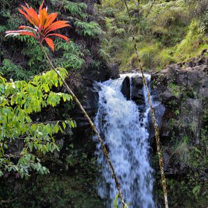 Pua’a Ka’a Falls along Hāna Highway, Maui, Hawaii - Encircle Photos