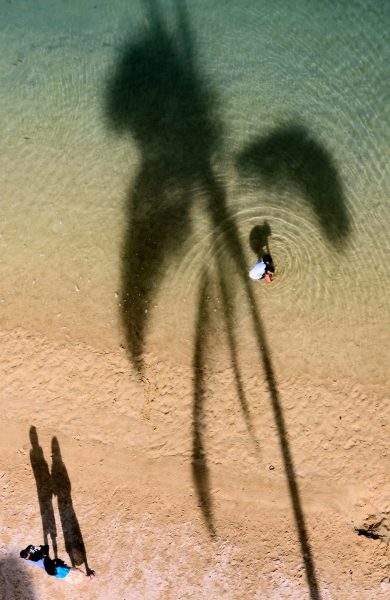 Parents and Child at Beach with Palm Tree Silhouette in Honolulu, Oahu, Hawaii - Encircle Photos