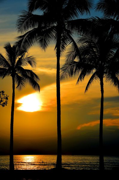 Sun Setting behind Palms at Waikīkī in Honolulu, O’ahu, Hawaii - Encircle Photos