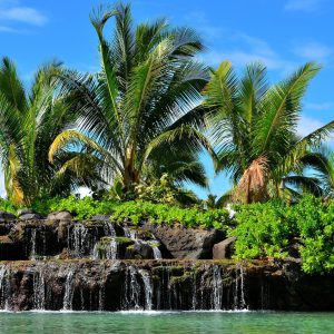 Water Falls and Palm Trees in Honolulu, O’ahu, Hawaii - Encircle Photos
