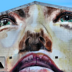 Woman’s Face Mural by Hader and Rone in Honolulu, O’ahu, Hawaii - Encircle Photos
