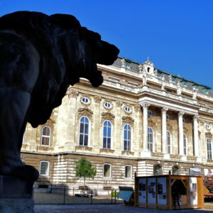 Lion Statue at Inner Court of Buda Castle in Budapest, Hungary - Encircle Photos