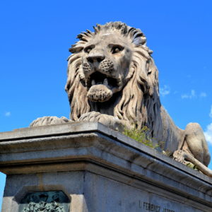 Lion at Chain Bridge in Budapest, Hungary - Encircle Photos