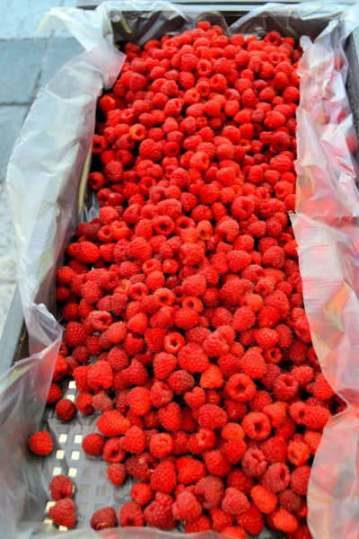 European Raspberries in Box at Outdoor Market in Eger, Hungary - Encircle Photos