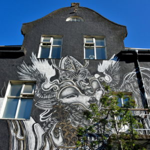 Unique Murals Project in Reykjavík, Iceland - Encircle Photos