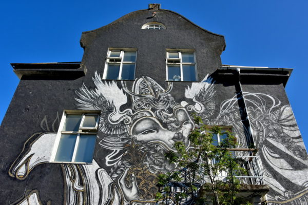 Unique Murals Project in Reykjavík, Iceland - Encircle Photos