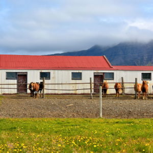 Accommodation Options on Snæfellsnes Peninsula, Iceland - Encircle Photos