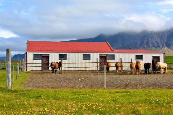 Accommodation Options on Snæfellsnes Peninsula, Iceland - Encircle Photos