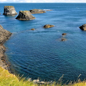 Nature Reserve at Arnarstapi on Snæfellsnes Peninsula, Iceland - Encircle Photos