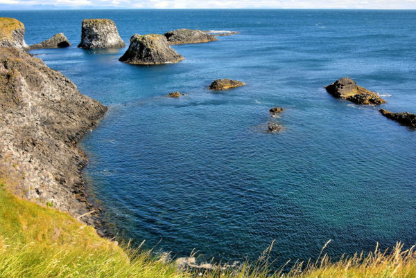 Nature Reserve at Arnarstapi on Snæfellsnes Peninsula, Iceland - Encircle Photos
