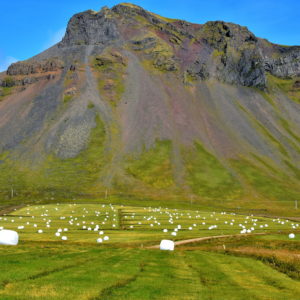 Bales of Wrapped Hay on Snæfellsnes Peninsula, Iceland - Encircle Photos