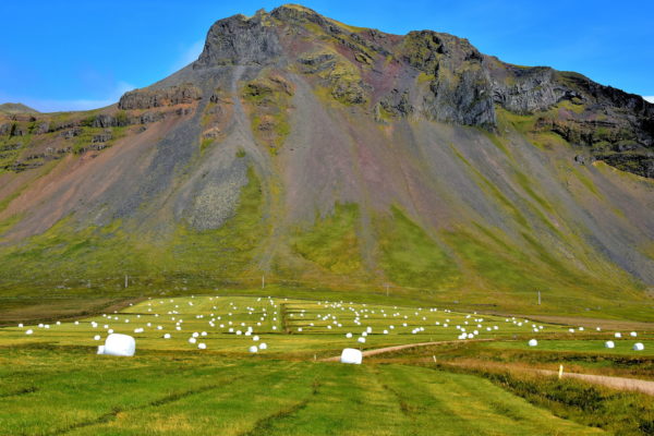 Bales of Wrapped Hay on Snæfellsnes Peninsula, Iceland - Encircle Photos