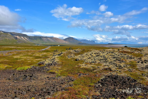 Lava Field on Snæfellsnes Peninsula, Iceland - Encircle Photos