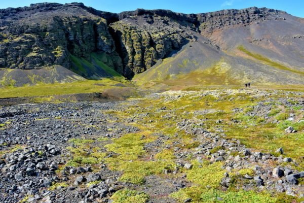 Rauðfeldsgjá Mountain Fissure on Snæfellsnes Peninsula, Iceland - Encircle Photos