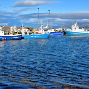 Rif Harbour on Snæfellsnes Peninsula, Iceland - Encircle Photos