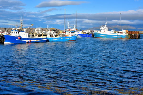 Rif Harbour on Snæfellsnes Peninsula, Iceland - Encircle Photos