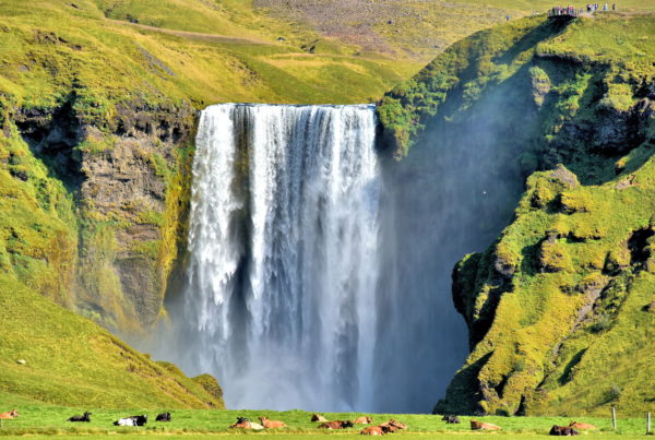 Observing Powerful Skógafoss in South Iceland - Encircle Photos