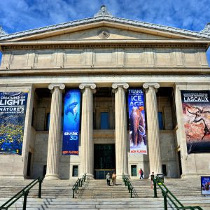 The Field Museum of Natural History in Chicago, Illinois - Encircle Photos