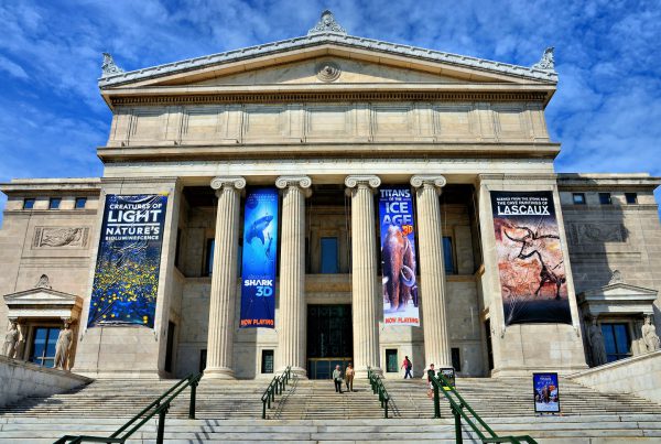 The Field Museum of Natural History in Chicago, Illinois - Encircle Photos