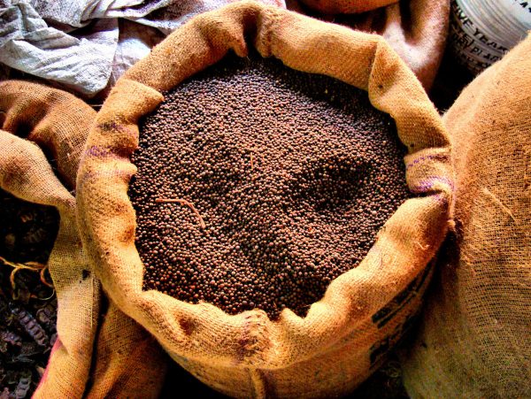 Whole Black Pepper in Burlap Gunny Sack in Cochin, India - Encircle Photos