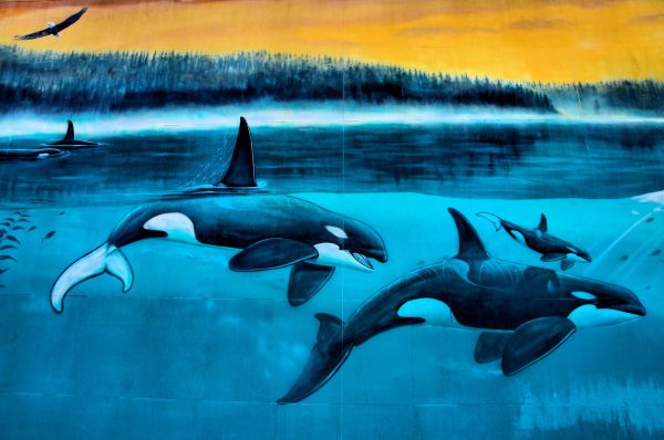 Orcas Passage Mural by Wyland in Indianapolis, Indiana - Encircle Photos