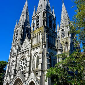 Saint Fin Barre’s Cathedral in Cork, Ireland - Encircle Photos