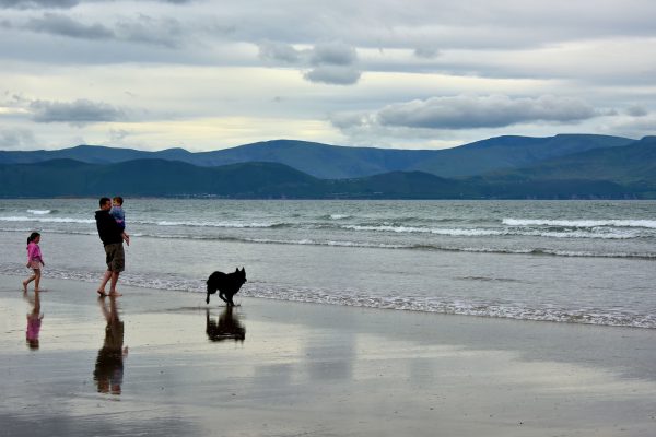 Family Wading at Inch Beach along Dingle Peninsula, Ireland - Encircle Photos