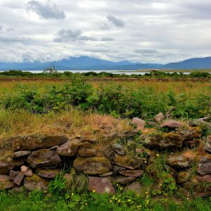 Irish Stone Wall along Dingle Peninsula, Ireland - Encircle Photos